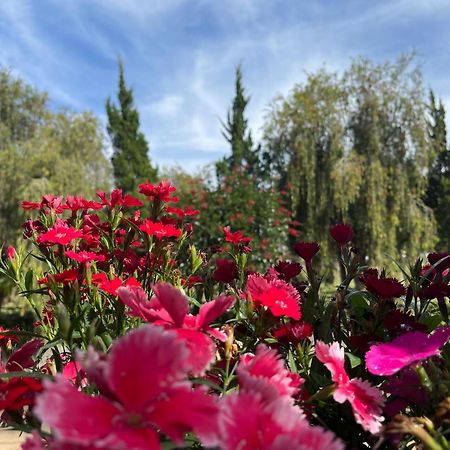 Cali Nguyen Daire Da Lat Dış mekan fotoğraf