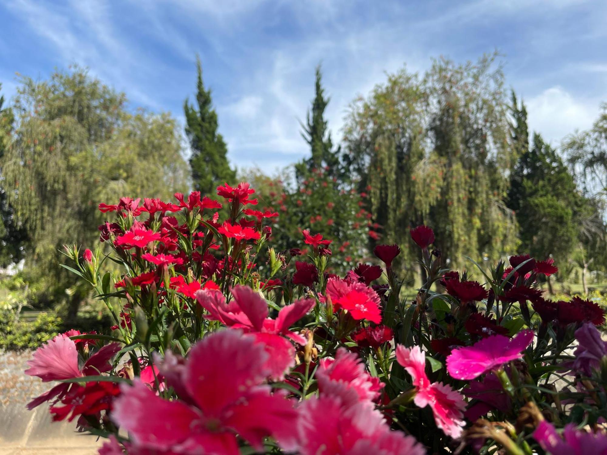 Cali Nguyen Daire Da Lat Dış mekan fotoğraf