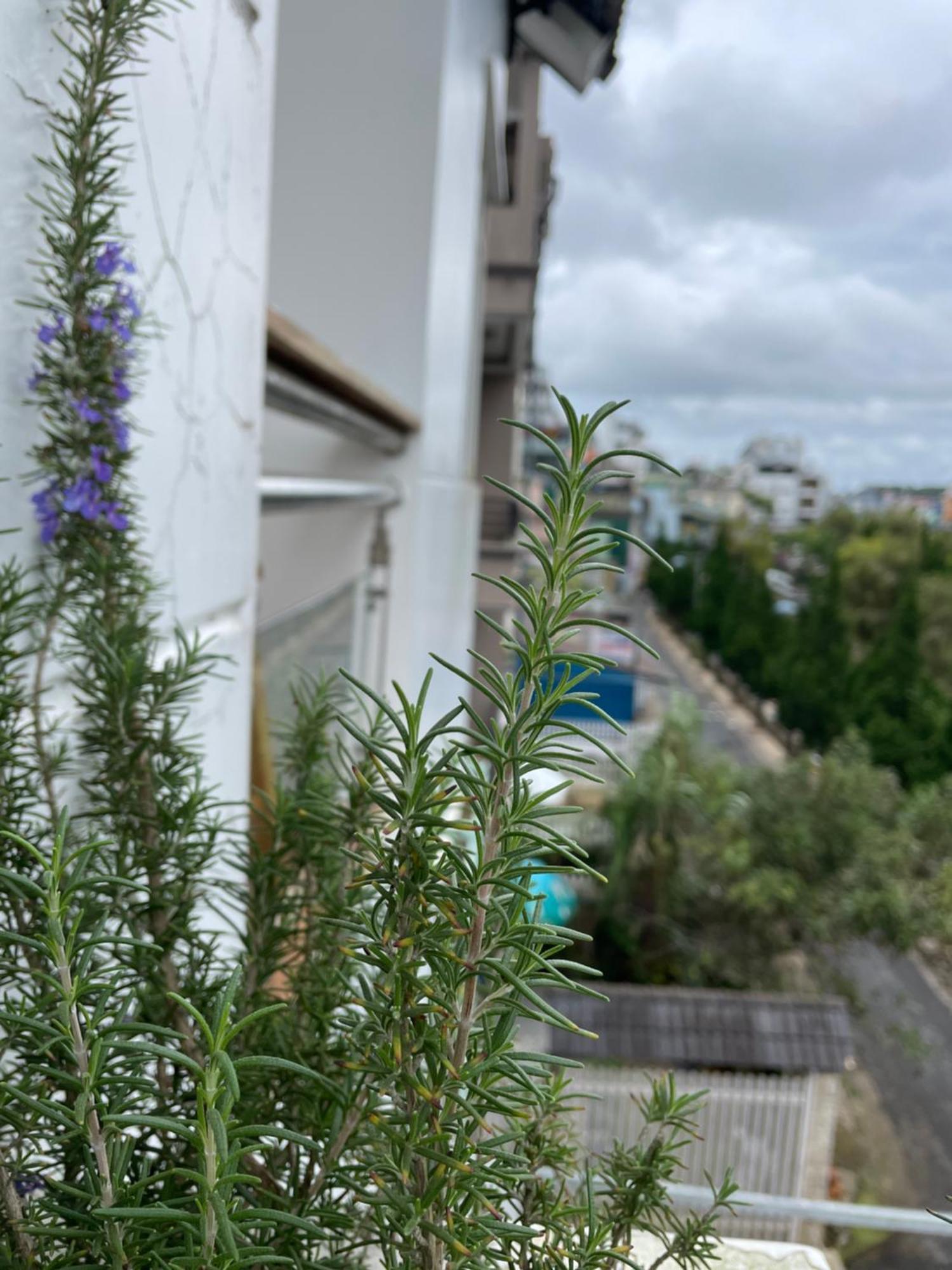Cali Nguyen Daire Da Lat Dış mekan fotoğraf