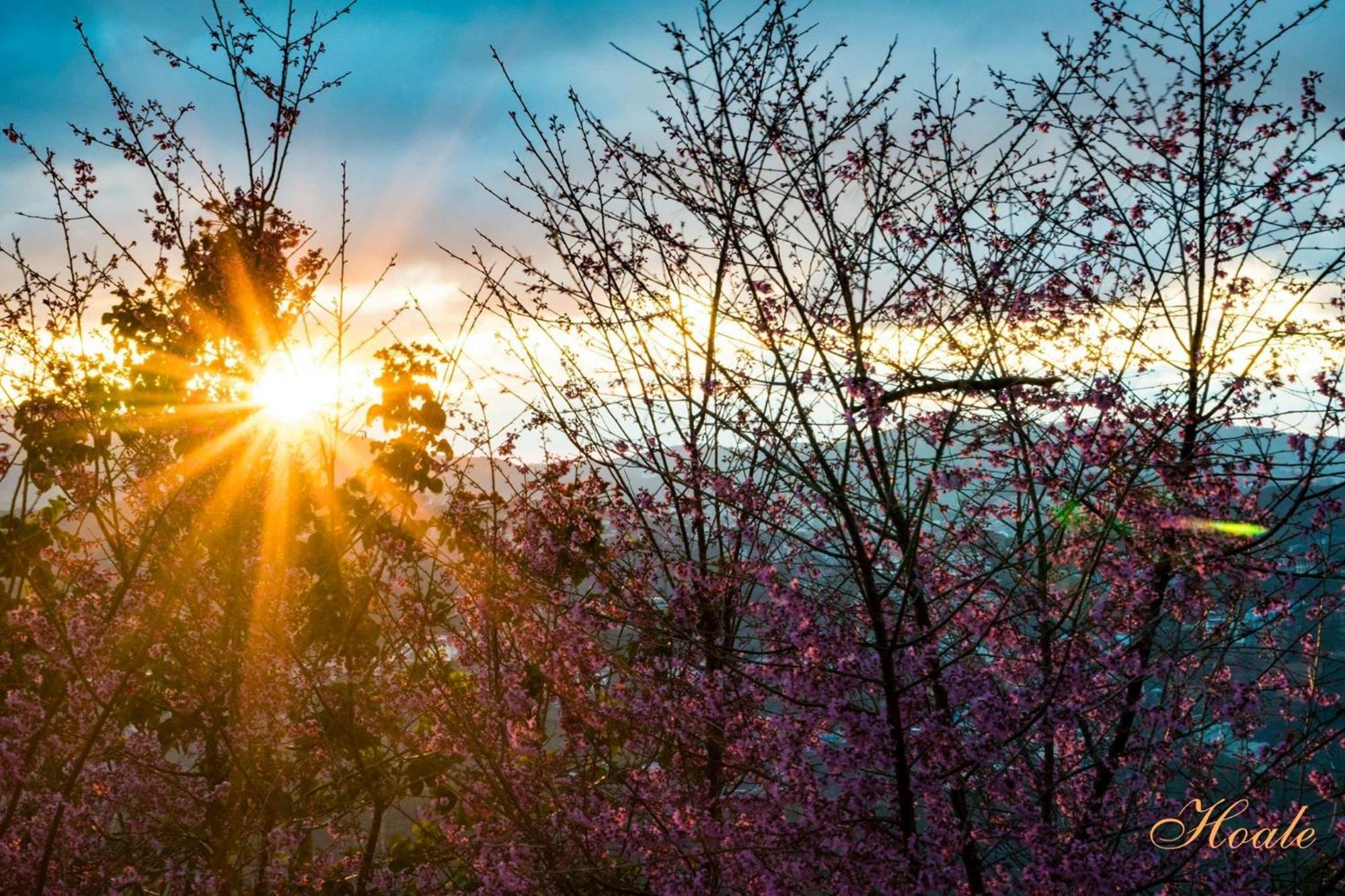 Cali Nguyen Daire Da Lat Dış mekan fotoğraf