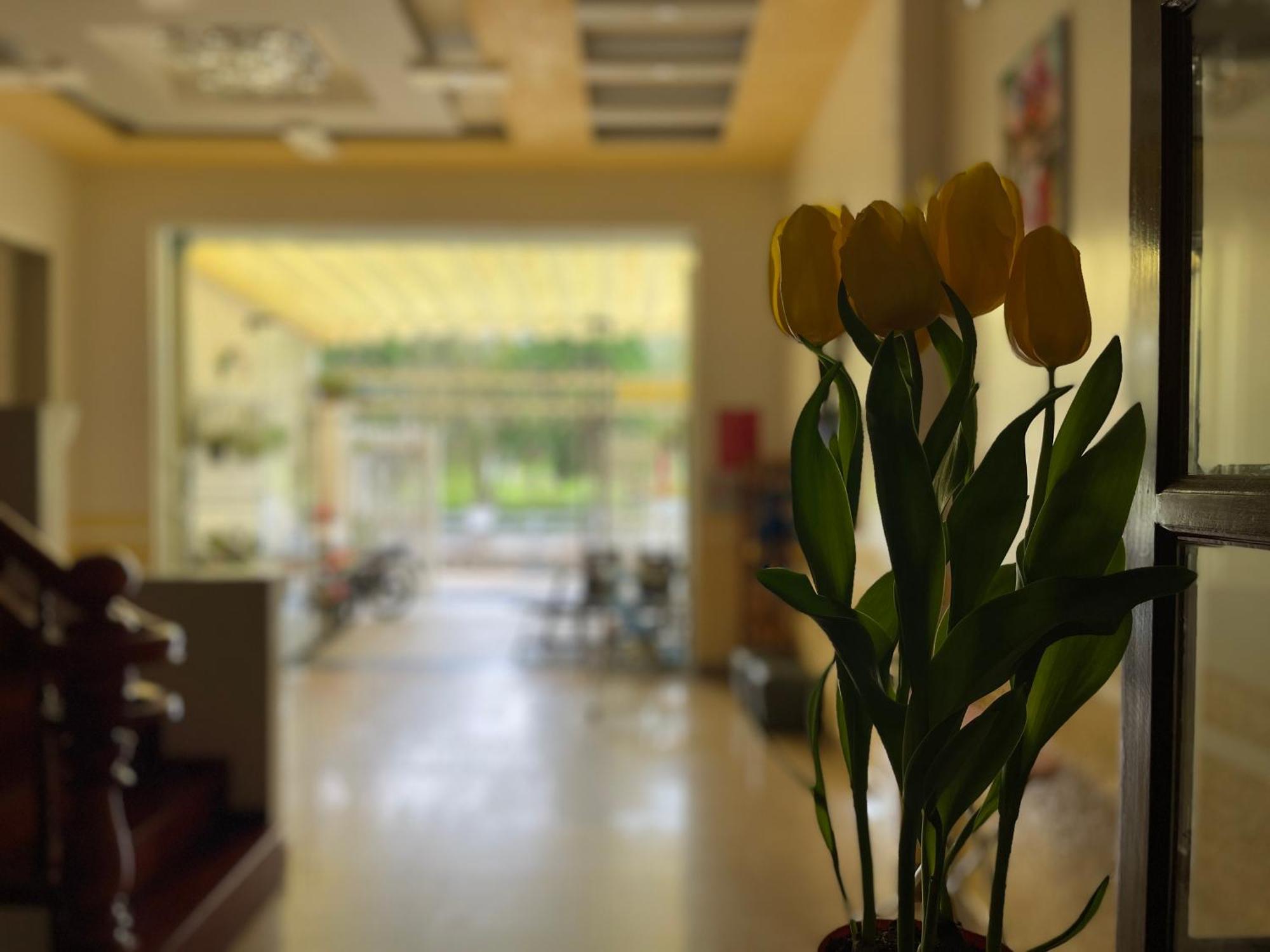 Cali Nguyen Daire Da Lat Dış mekan fotoğraf