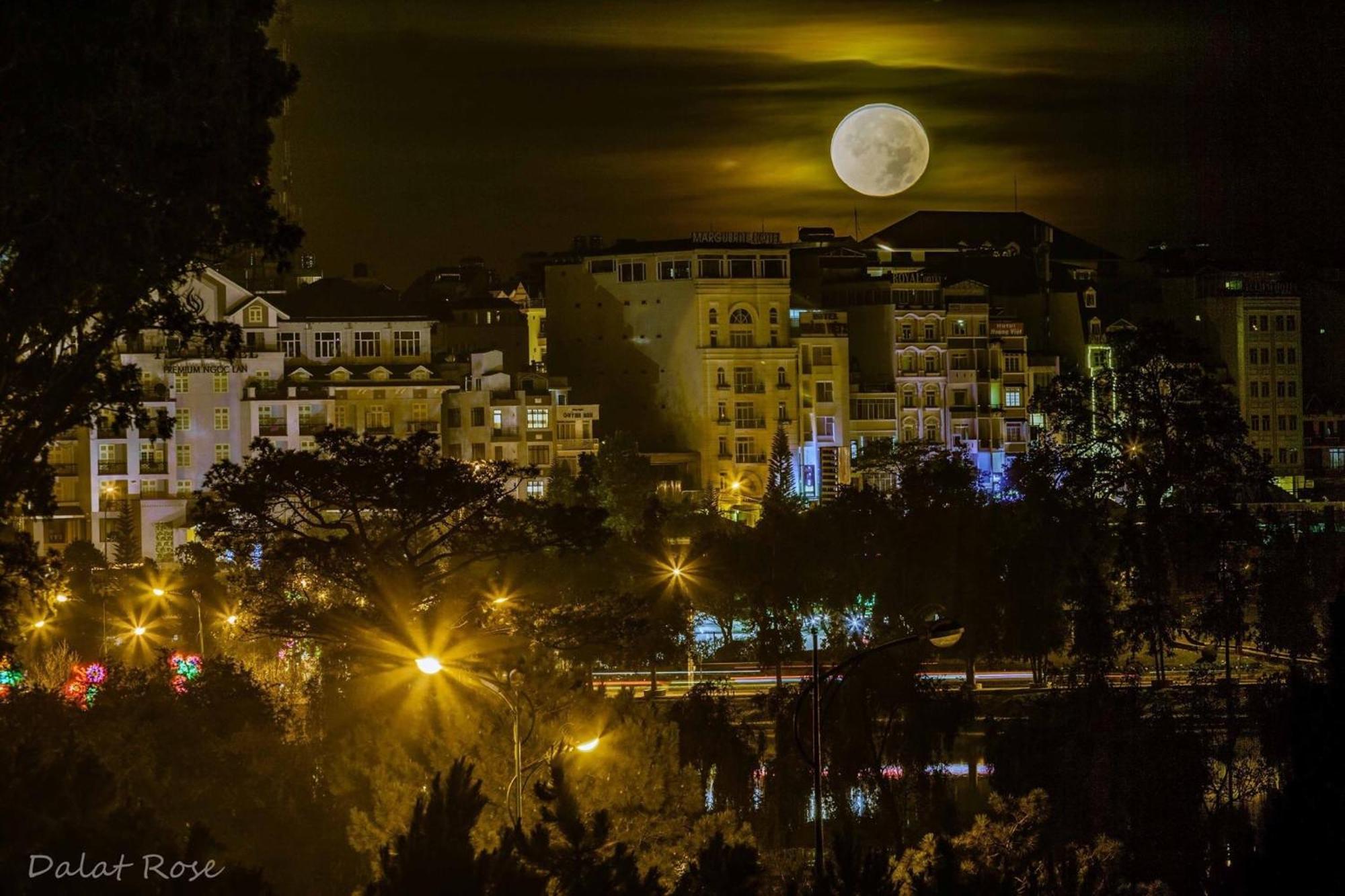 Cali Nguyen Daire Da Lat Dış mekan fotoğraf